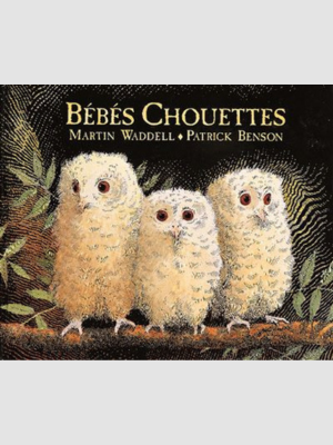 Bébés chouettes