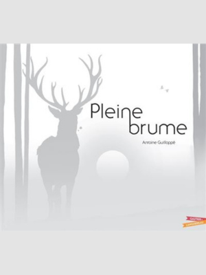 Pleine brume