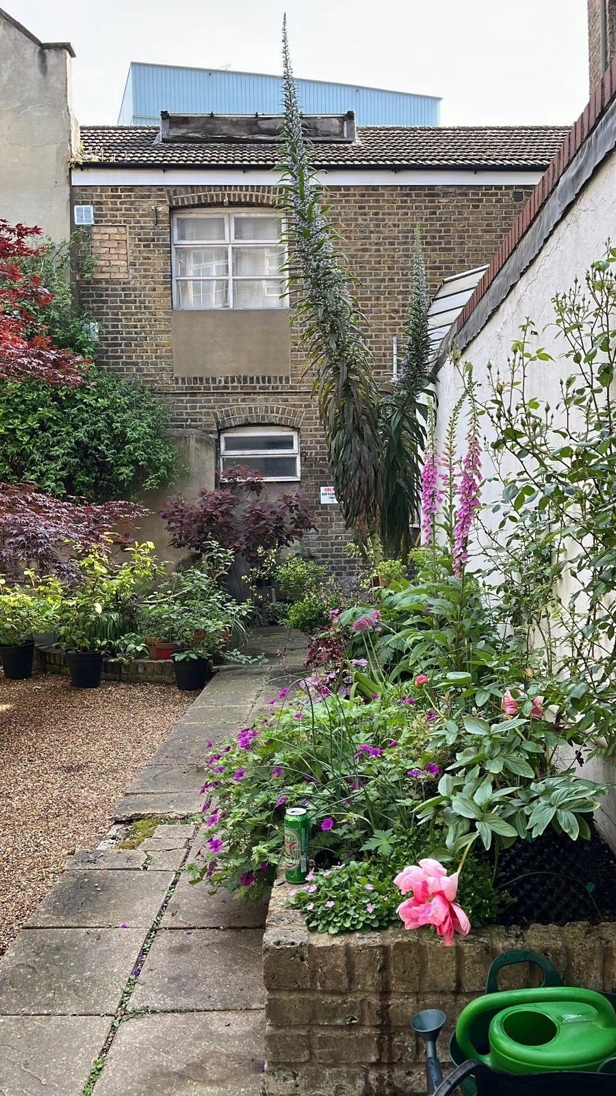 WhatsApp Image 2024-09-30 at 14.37.59_510a34a7 ekium.jpg