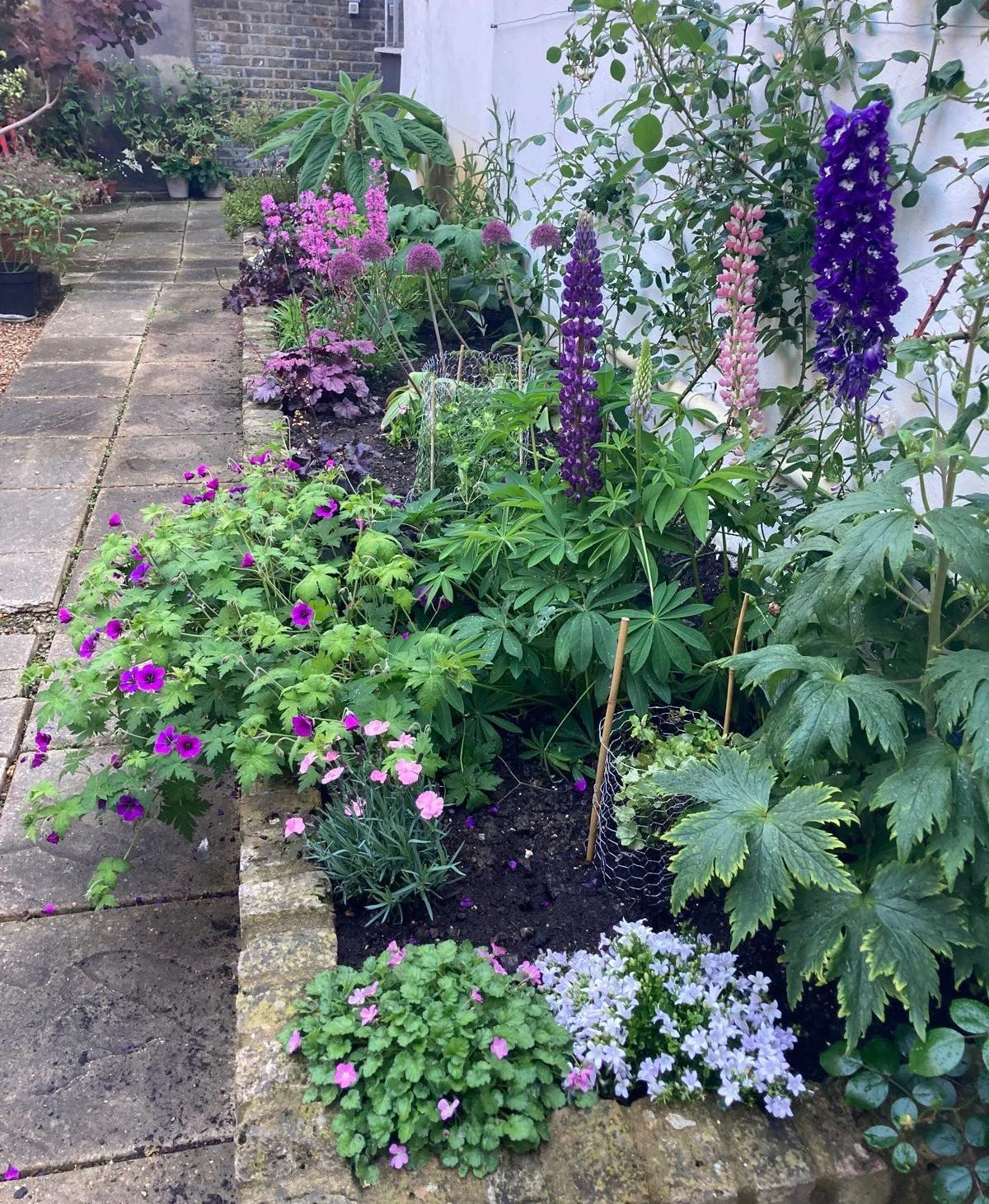 PHOTO-2024-10-01-11-27-15 main bed 2023.jpg