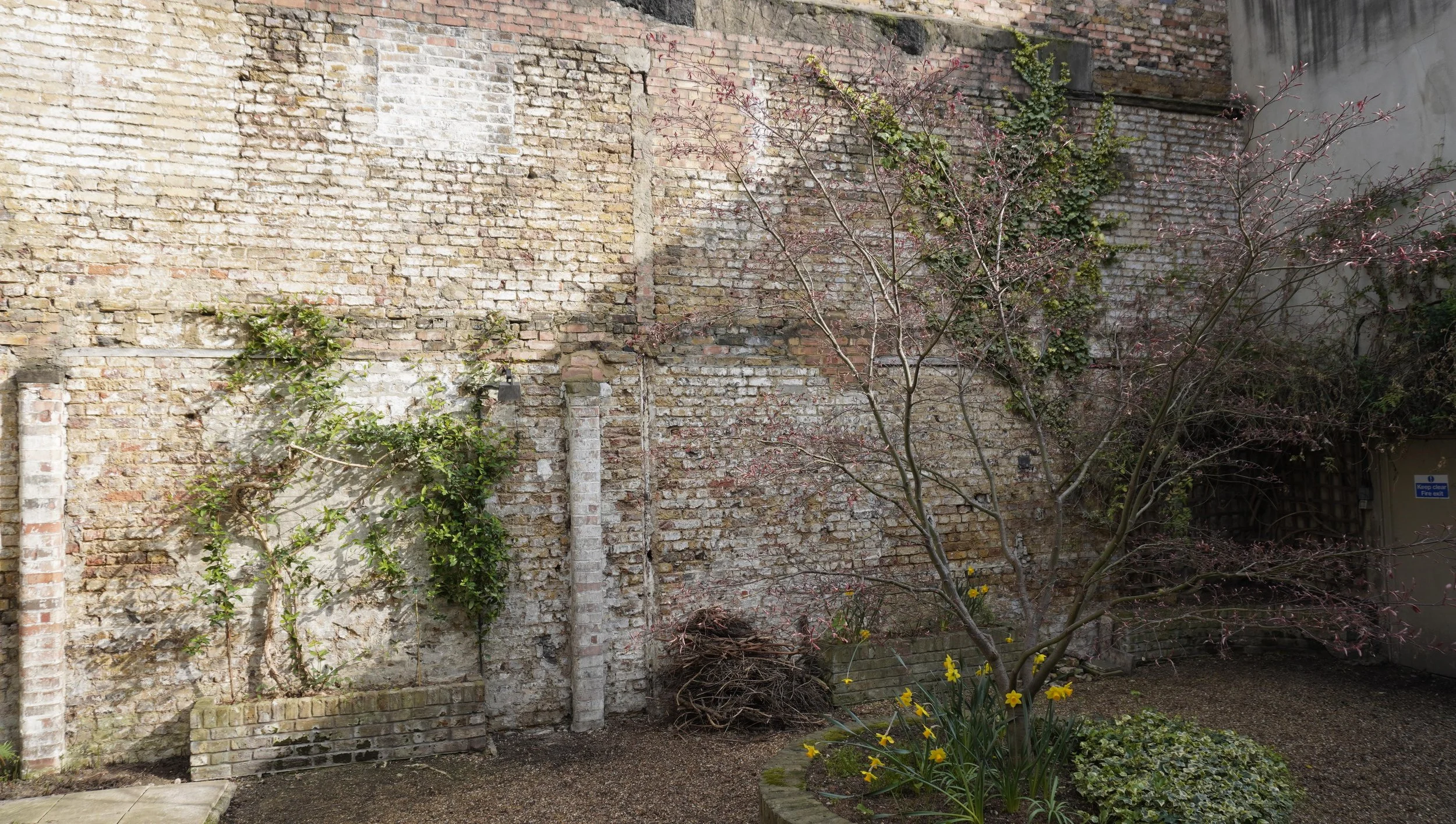 _DSC0892 side wall.JPG