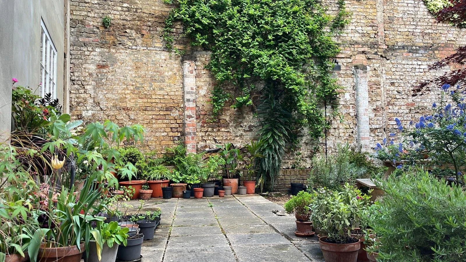 WhatsApp Image 2024-04-20 at 18.13.59_bfde1c19 garden view back wall.jpg