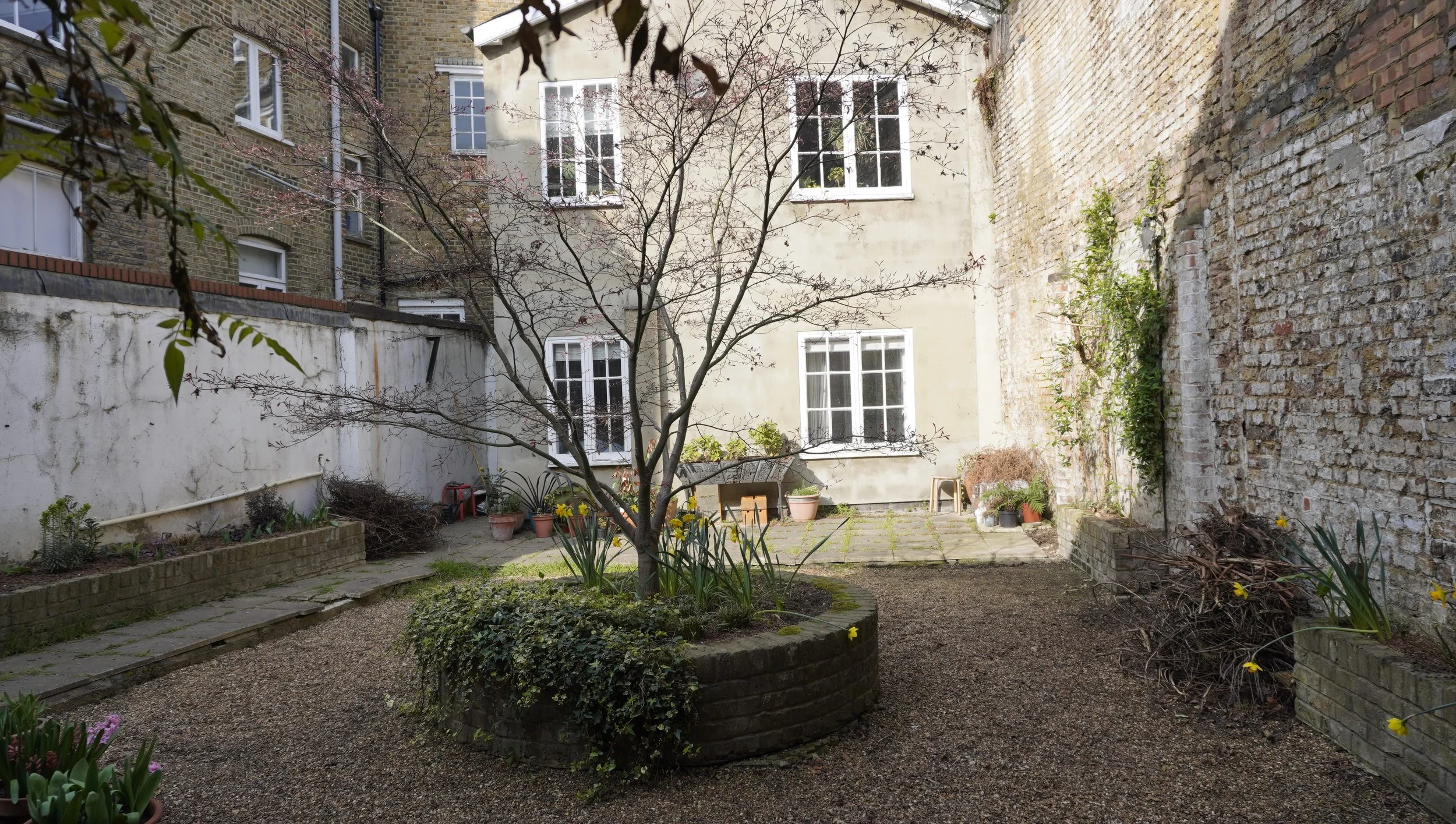 _DSC0895 overviw from back.JPG