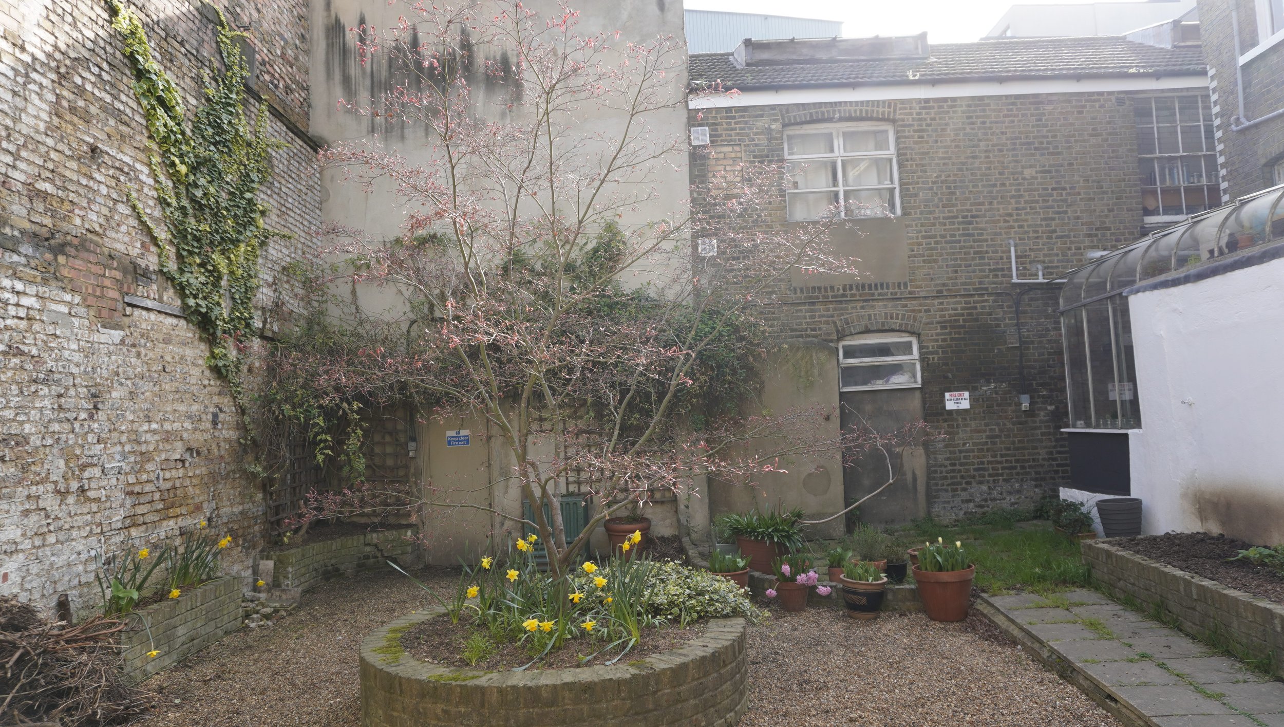 _DSC0893 back side.JPG