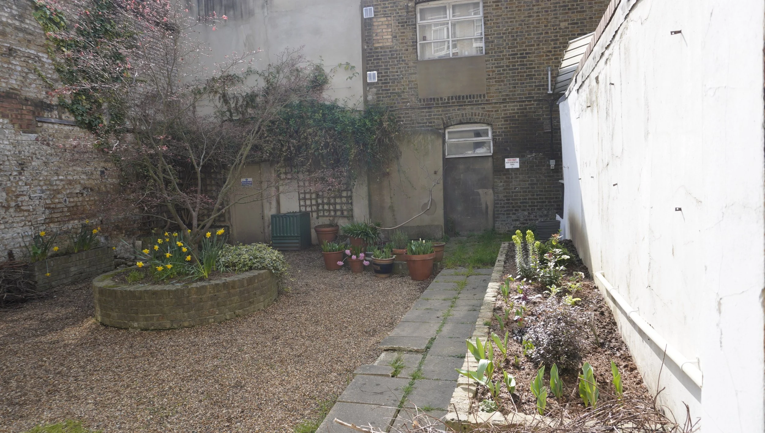 _DSC0887 over view start planting 2.JPG