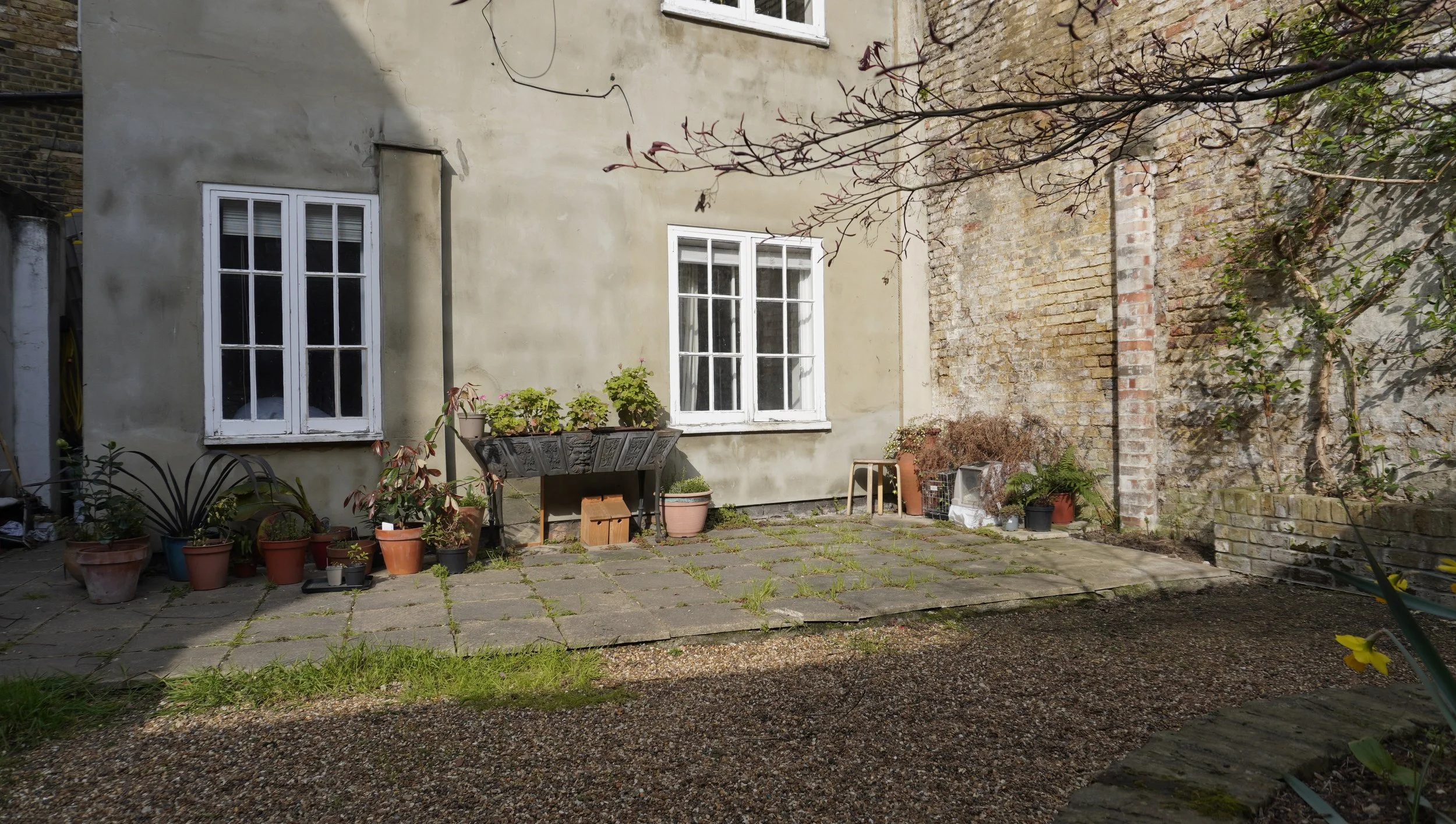 _DSC0890 start planting back wall.JPG