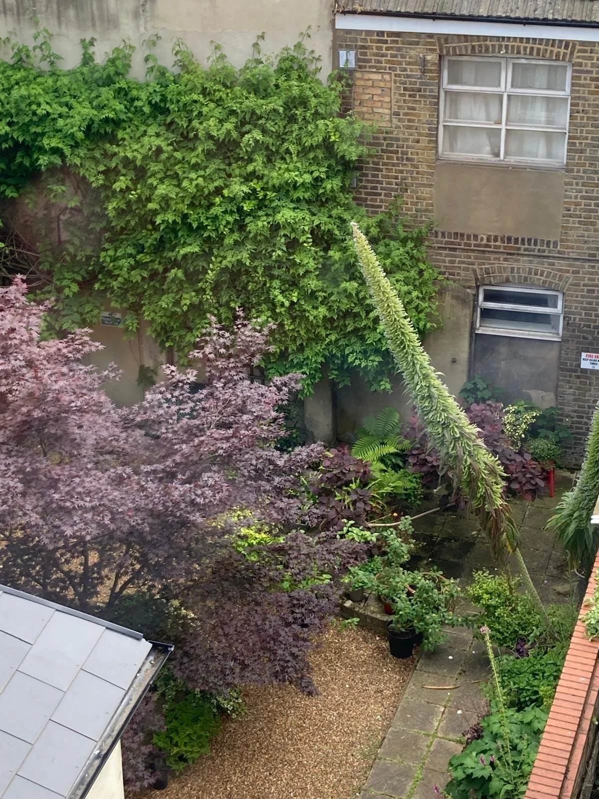 WhatsApp Image 2024-06-14 at 16.20.04_b3e60271 ekium from above.jpg