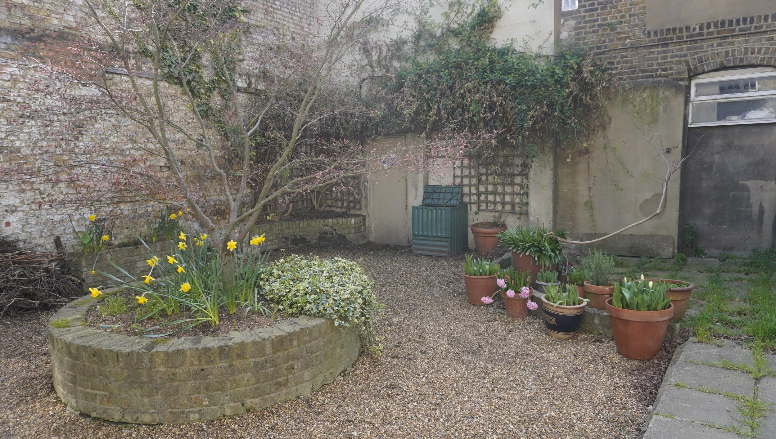 _DSC0885 jasmine trail up.JPG