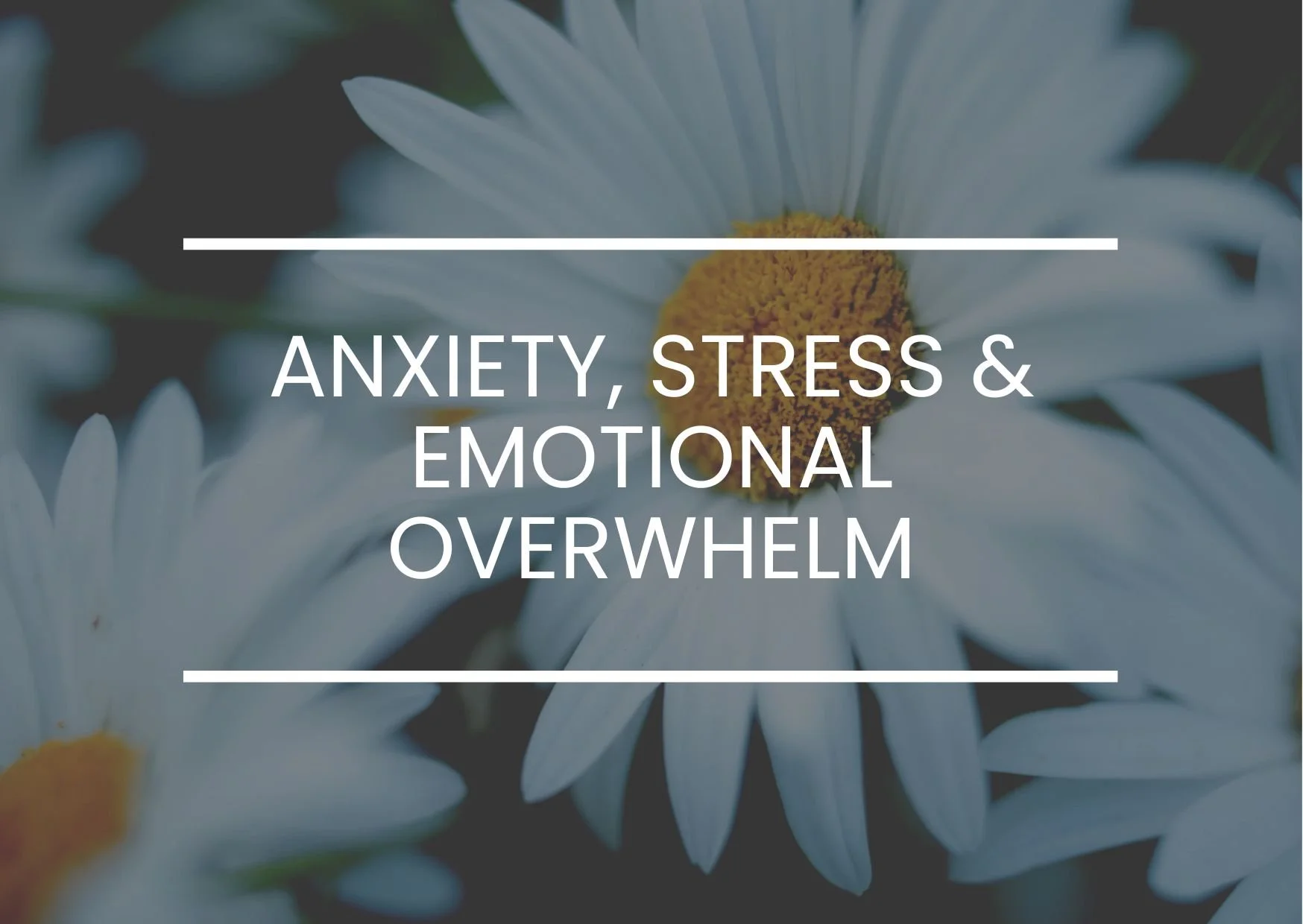 Anxiety, Stress &amp; Emotional Overwhelm