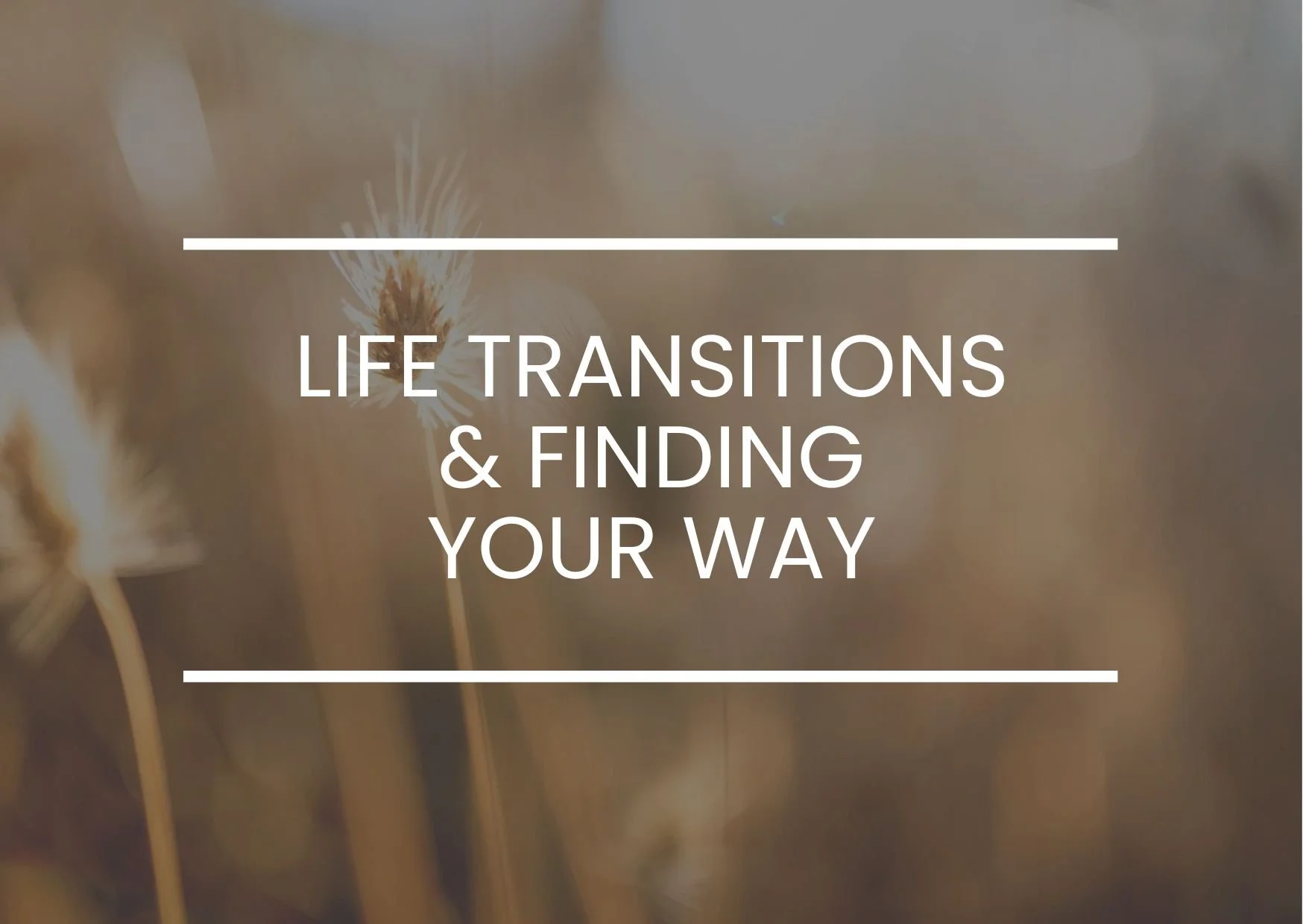 Life Transitions &amp; Finding Your Way