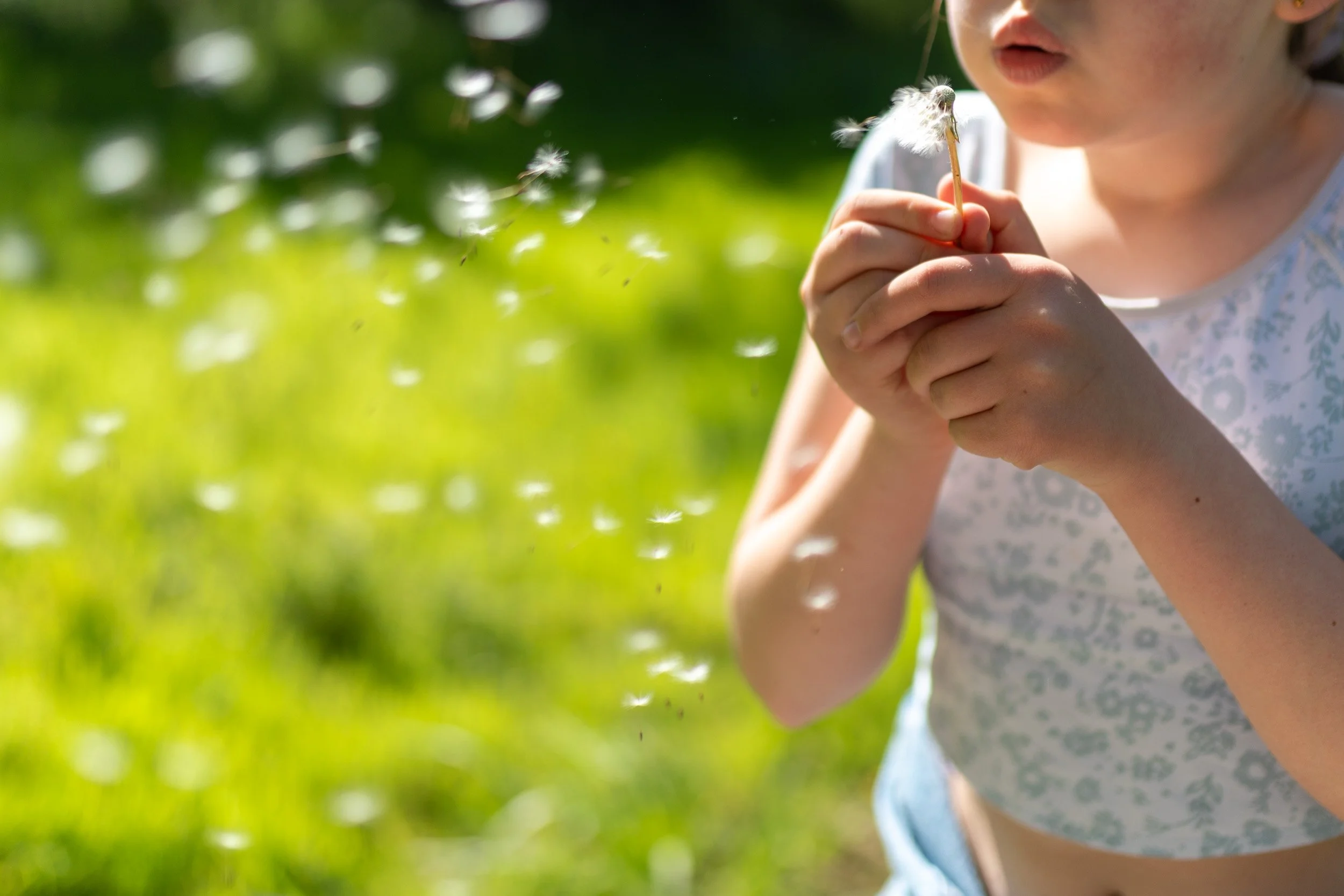 A young girl with earrings blowing on a dandelion, releasing its seeds into the air, outdoors with greenery in the background.