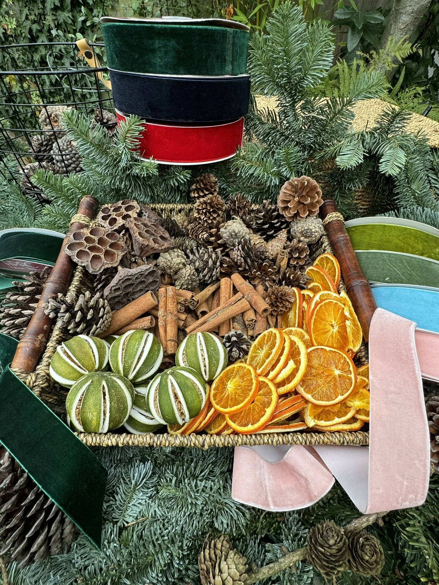 Wreath Workshop Citrus Pine and Ribbon 2024.JPEG