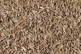 JINTAN KECIL / CUMIN SEED / SIRAGAM SMALL