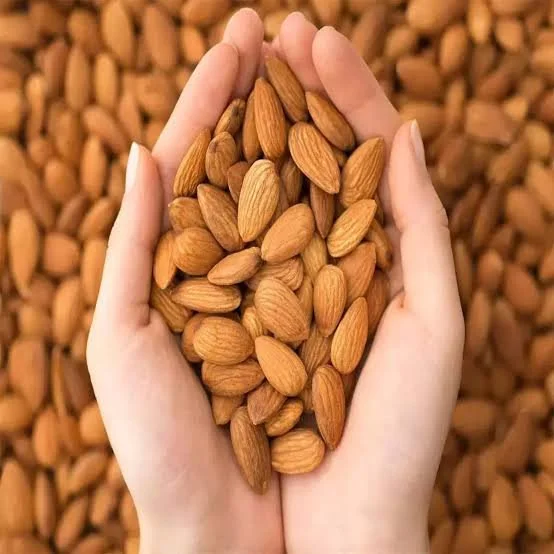 DADAM / ALMOND NUT