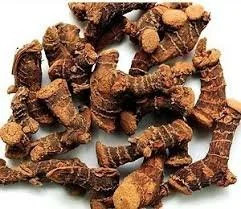 CHITHARATHAI / LESSER GALANGAN (HERBAL)