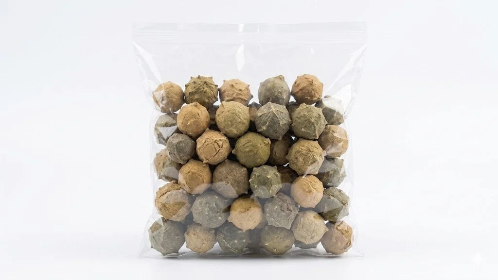 Dried Oak Gall | Masikkai | Biji Manjakani Tradisional (100g)