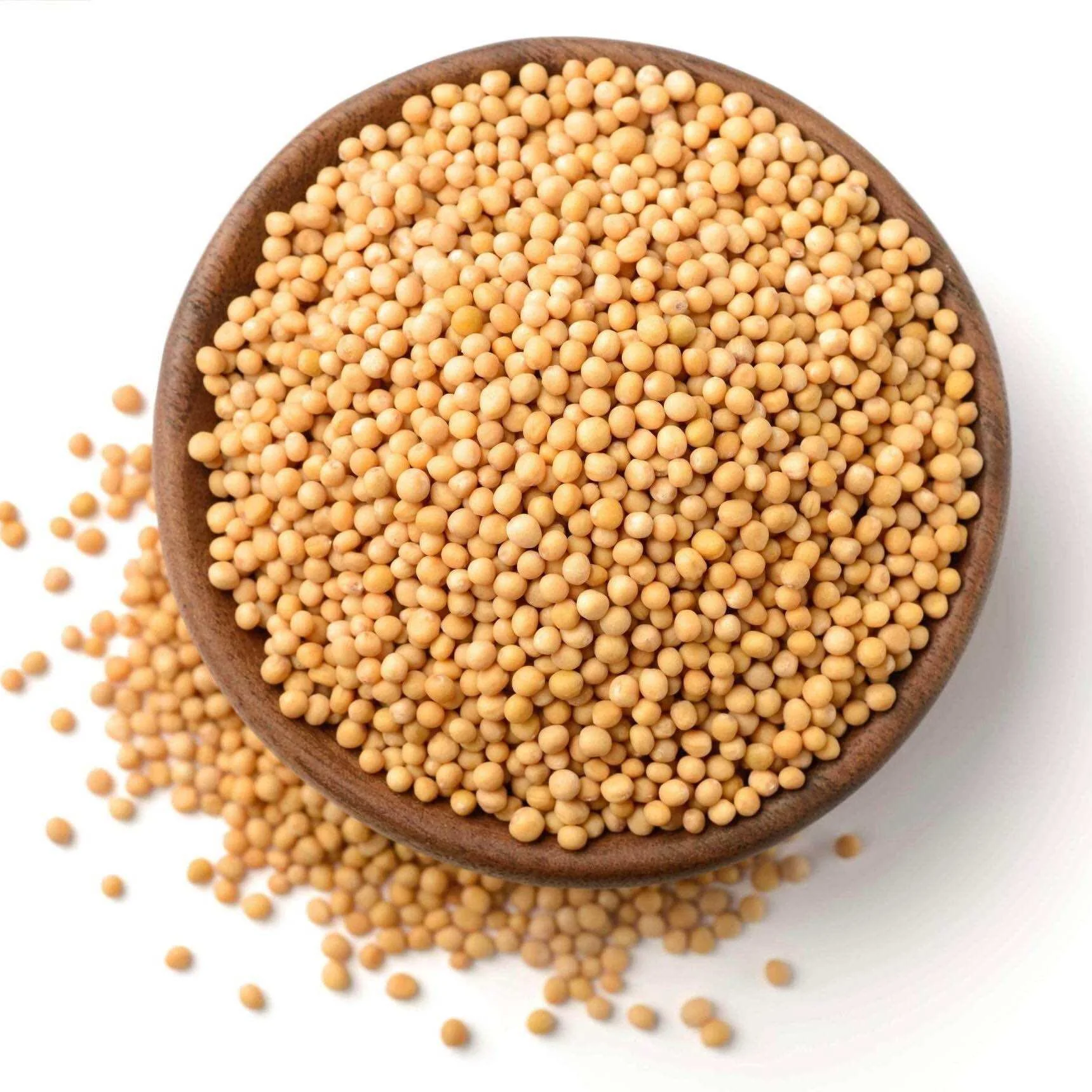 VENKADUGU / WHITE OR YELLOW MUSTARD SEED (HERBAL)