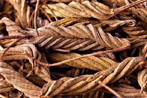 VADAMPURI - EDAMPURI / MURUKKU THIPPILI / DRIED HELICTERES ISORA (HERBAL)