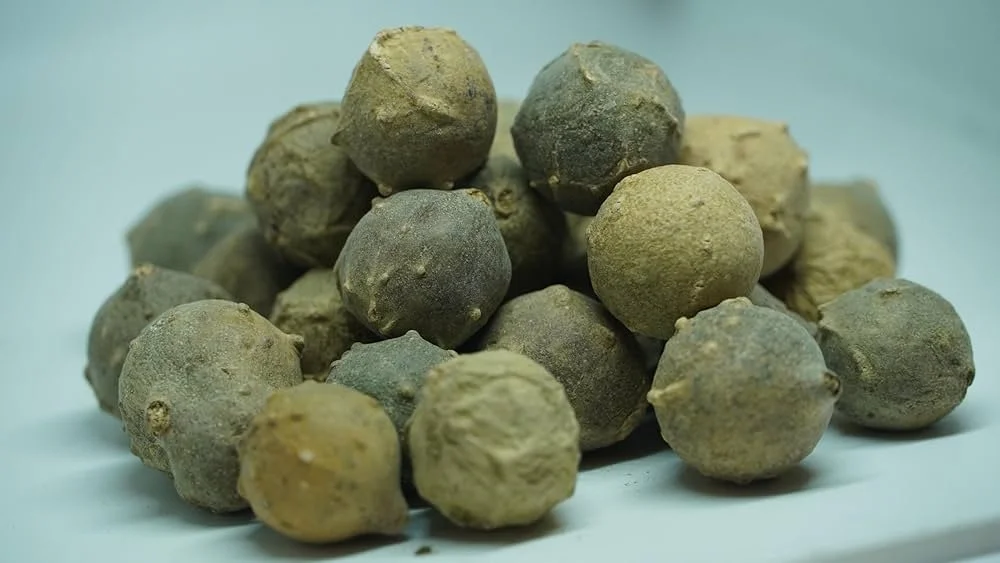 MASIKAI / MANJAKANI /  MAGIC NUT (HERBAL))