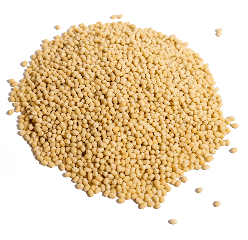 ULUNTHU / URID DHALL / BEANS /  LENTIL