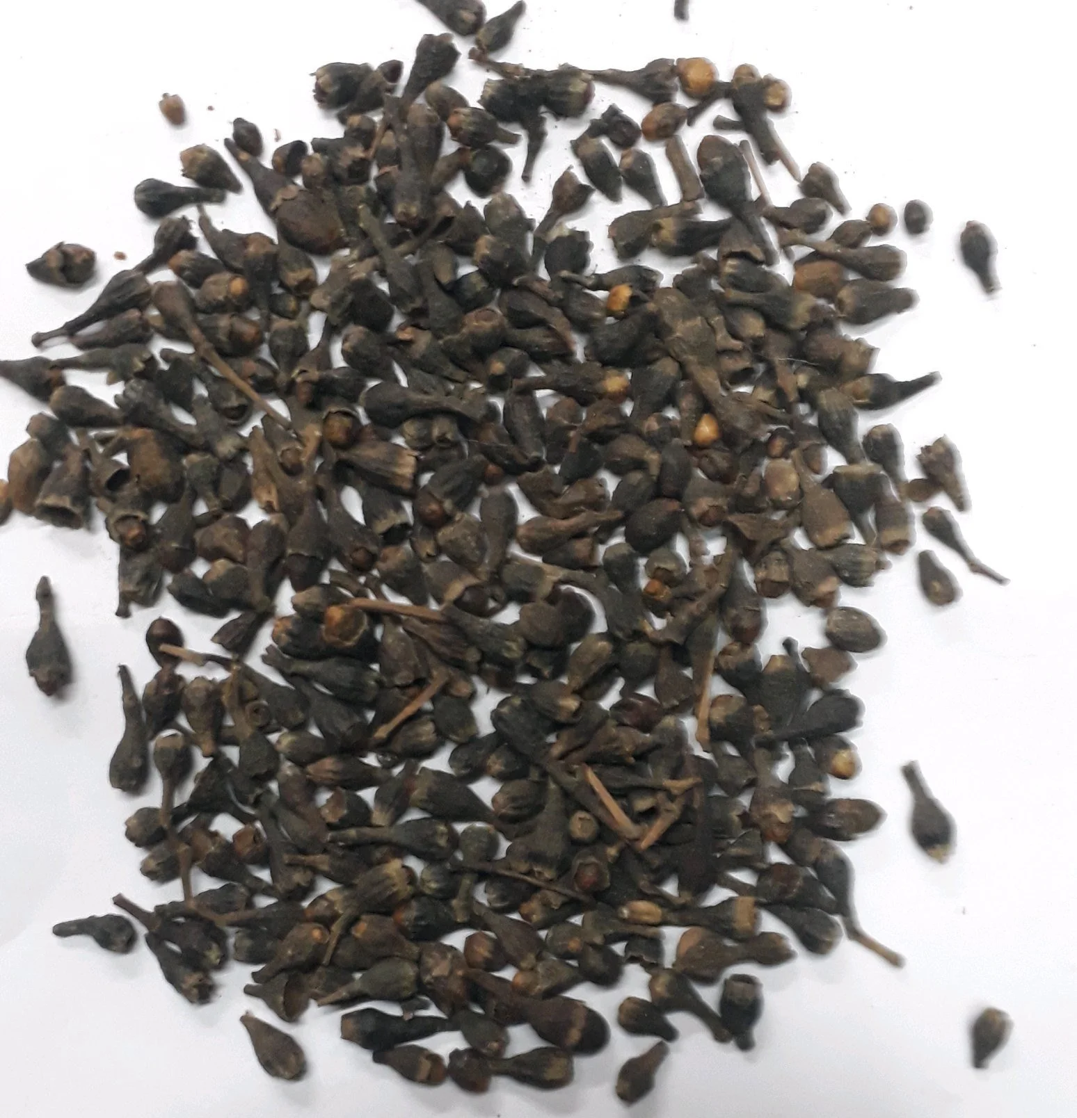 SIRUNAGAPOO / MESUA FERREA / (HERBAL)