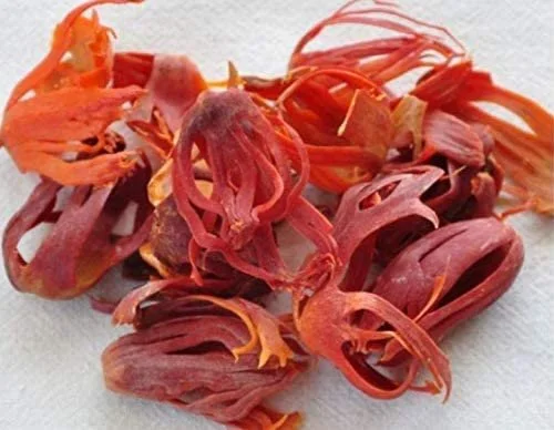 JATHIPATHIRI / MACE (HERBAL)