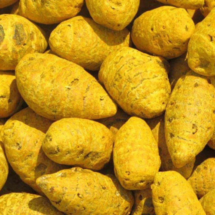 GUNDU MANJAL / KUNYIT / TURMERIC (HERBAL)