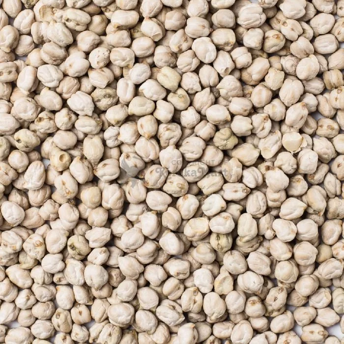KONDAKADALAI /KACANG KUDA PUTIH / CHICKPEAS / CHANNA  DHALL /BEANS /  LENTIL
