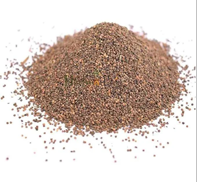 NAI KADUGU / DOG MUSTARD SEEDS (HERBAL)