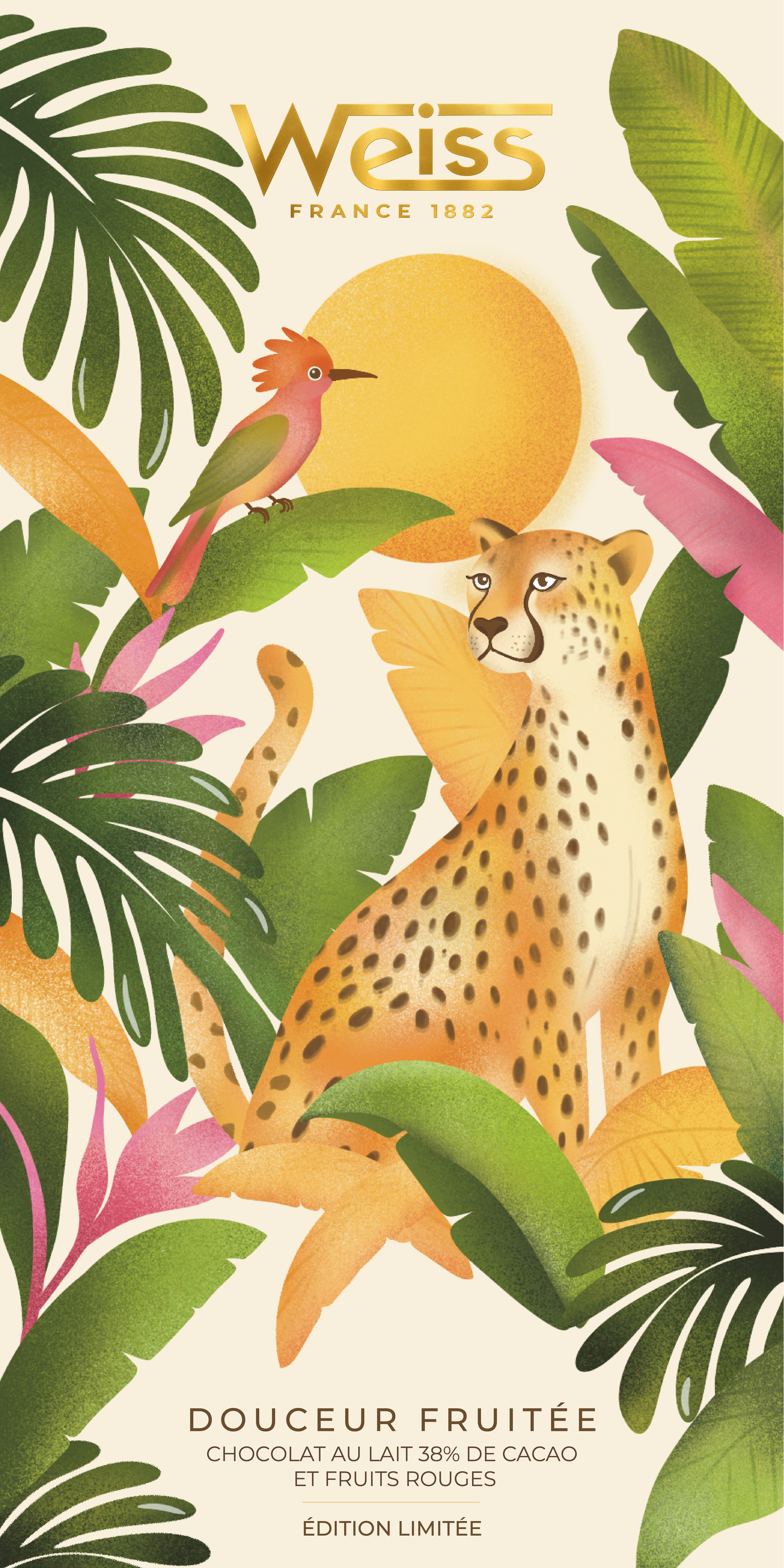 Packaging final .png