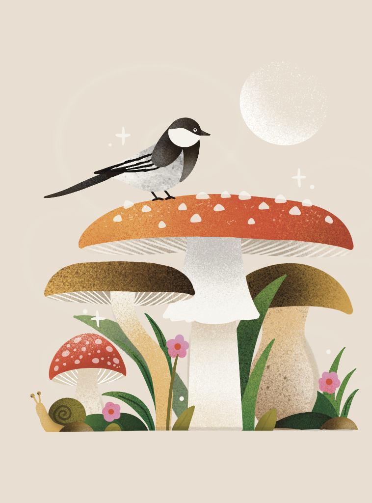 periparus ater_illustration.png