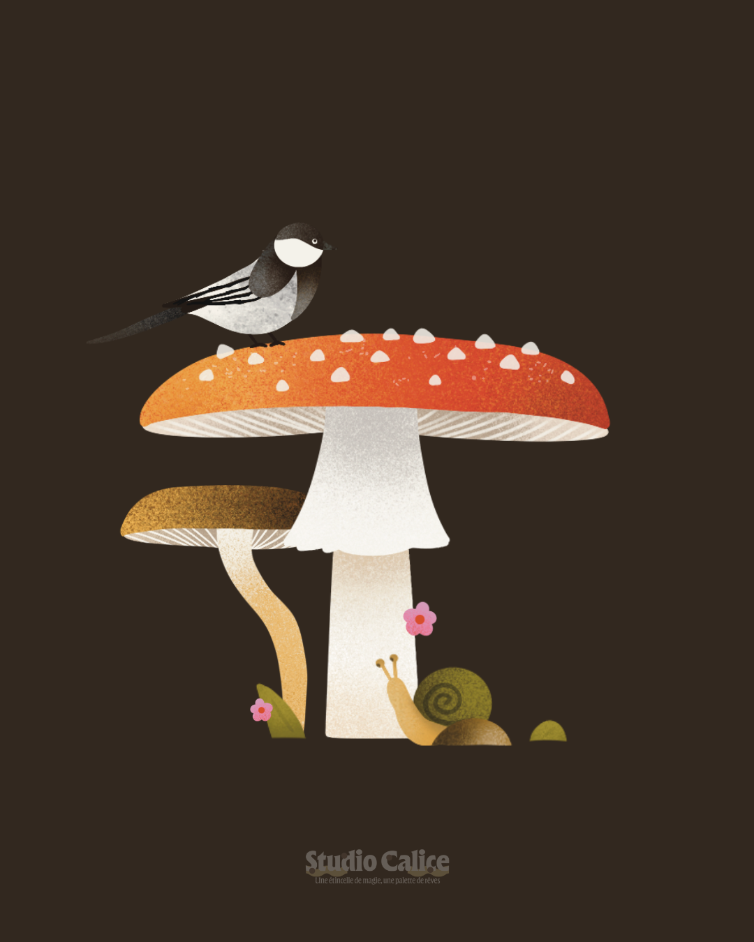 Aegithalos caudatus. (1).png