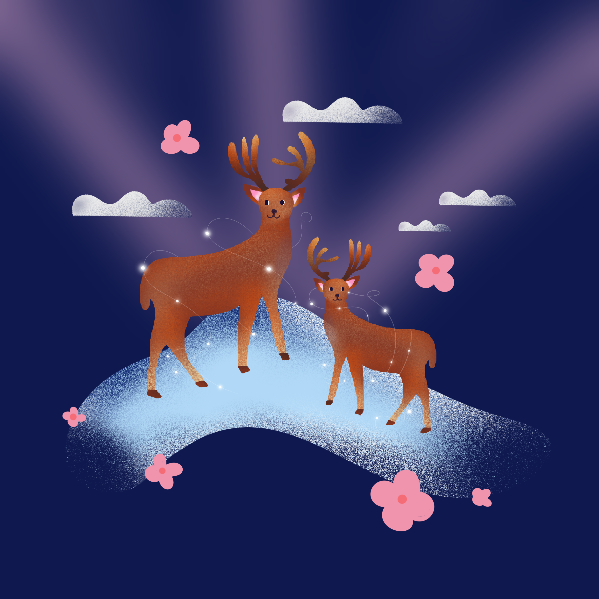 Blooming under the Stars