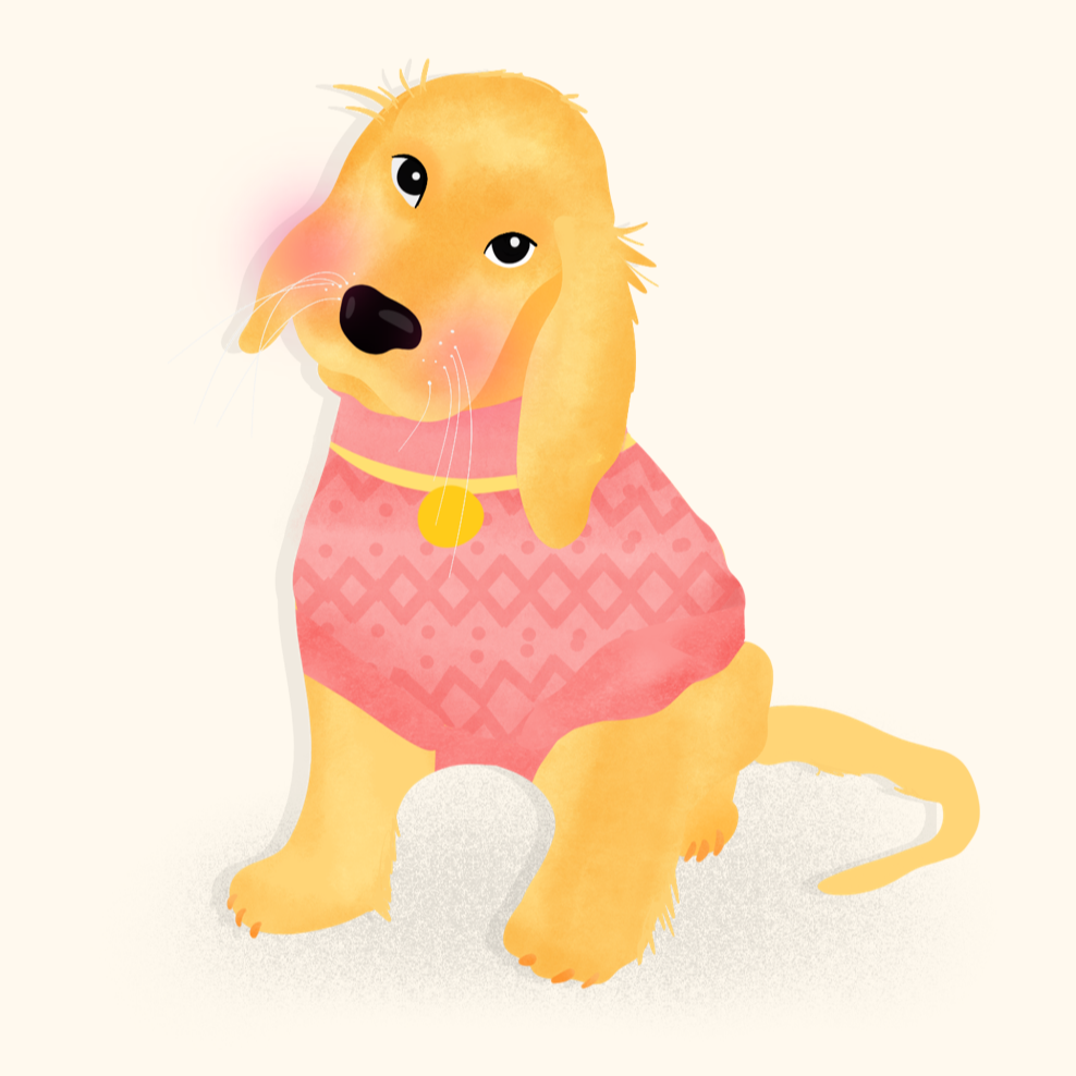 Cocker Spaniel