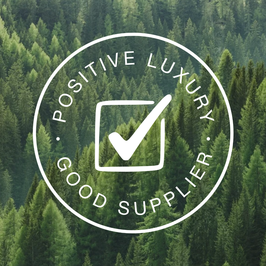 Freight Brokers Achieve Good Supplier by Positive Luxury