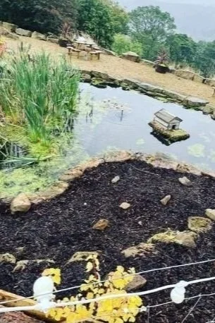 Garden pond with floating duck decoy, surrounded by plants, rocks, and a compost area with black soil, in a rural setting.