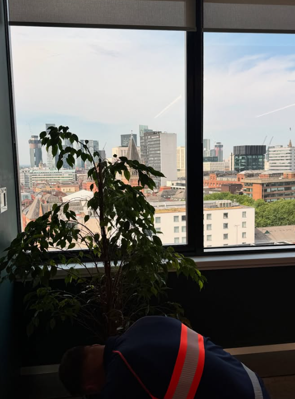 Office interior with large window showing city skyline, a large plant near the window, and a person with a dark blue jacket with orange and white reflective stripes leaning forward.