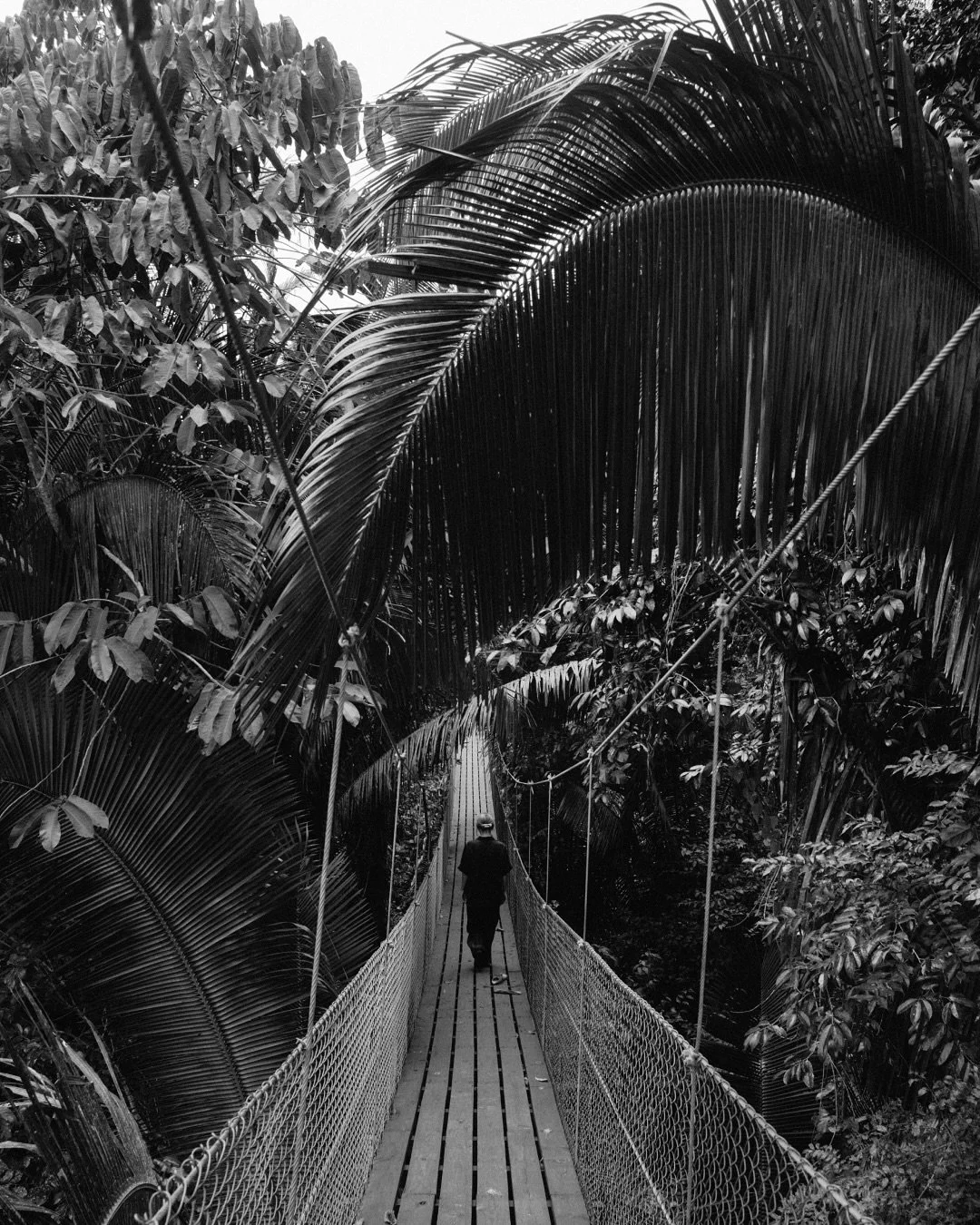 Shooting at @jadejungleresort felt like slowing down.

Surrounded by green, listening to the sound of birds while waiting for the light to move through the trees.
A place where nature, design, and quiet all meet.

#hotelphotography #architecturephoto
