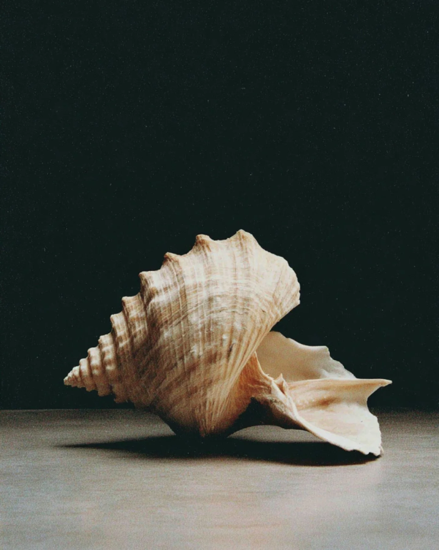 Exploring the space between analogue and ai.
Not as opposites, but as collaborators.

For us, ai is a sketchbook, a way to study form, rhythm, and composition, never a replacement for handmade work, craft, or the eye of an analogue photographer.

The