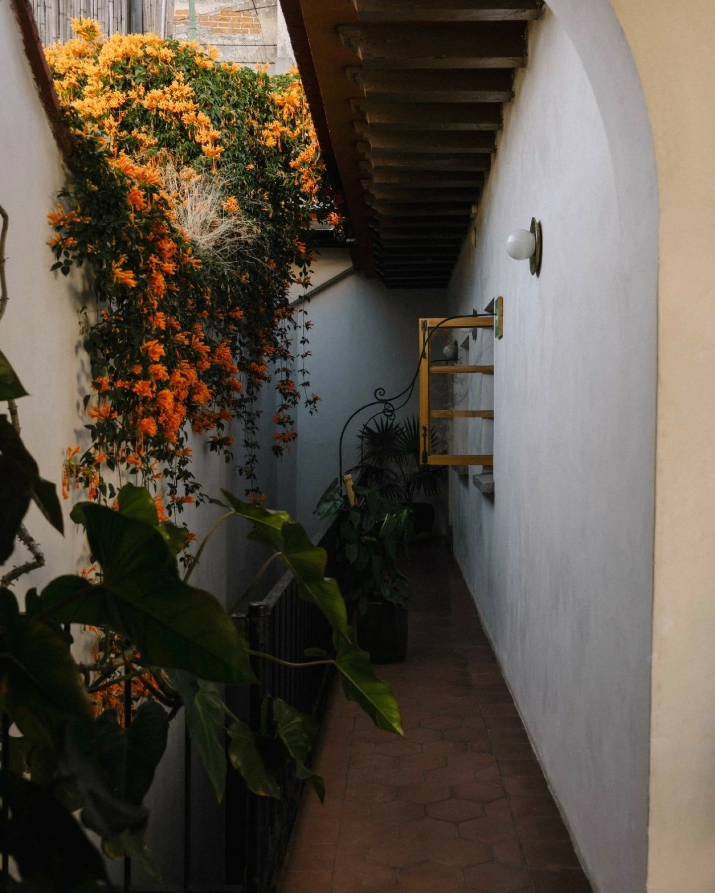 Grana B&amp;B &middot;  Oaxaca &middot;  2025

Hotel photography for @granabnb. Set in an 18th-century property, the hotel brings together old and new Mexican architecture, filled with local artwork, pottery, and thoughtful details that give the hous