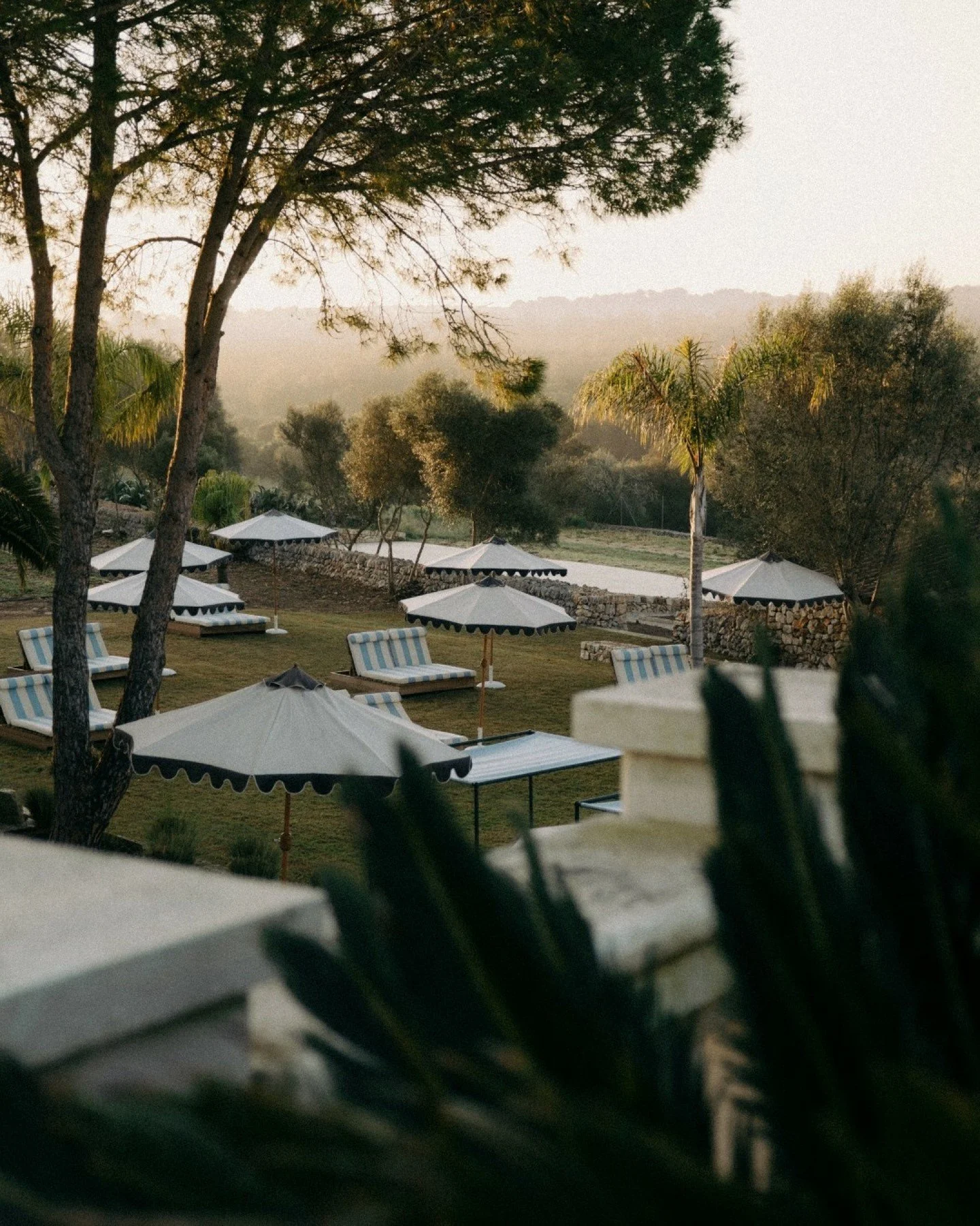 early mornings at Son Xotano, Mallorca

@sonxotanomallorca

.
.
.

#hotelphotography #hospitalityphotography
#boutiquehotel #hospitalitybranding #hotelmarketing