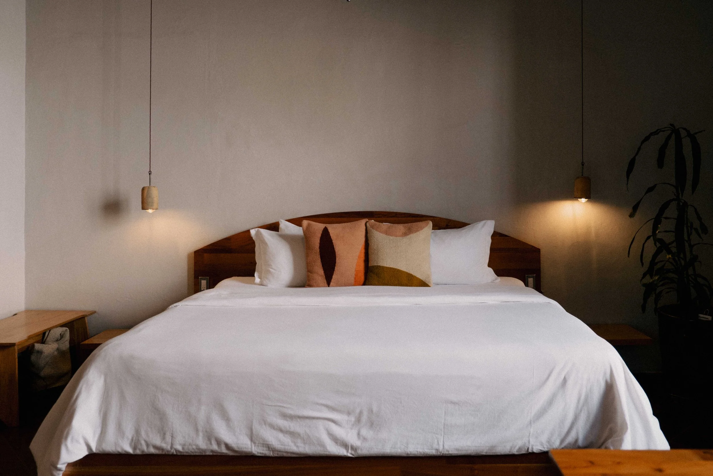 A neatly made bed with white linens, two white pillows, and two decorative cushions with abstract patterns, in a bedroom with pendant lights and a potted plant.