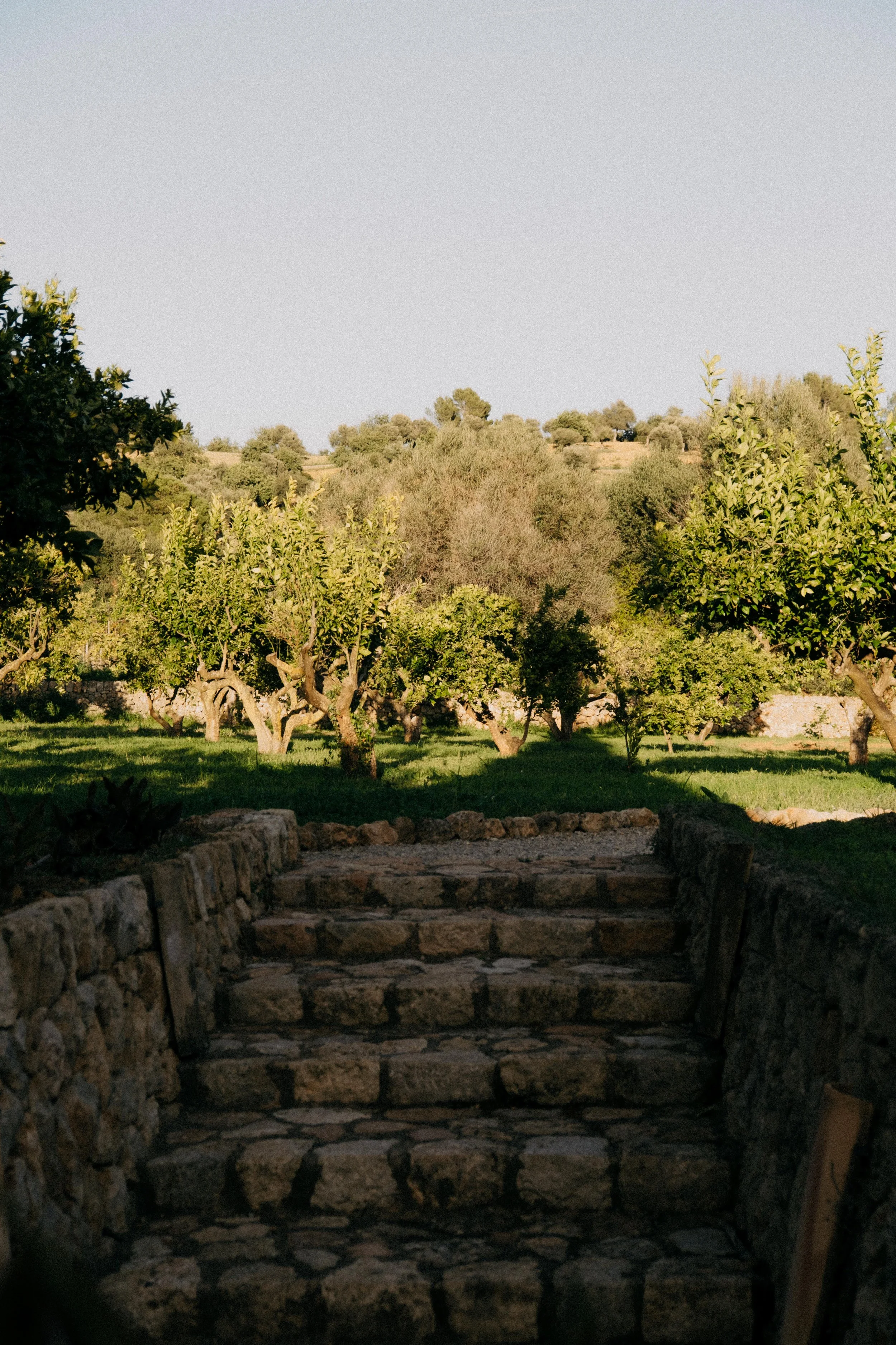 el medi _ Finca Es Cabàs-11.jpg