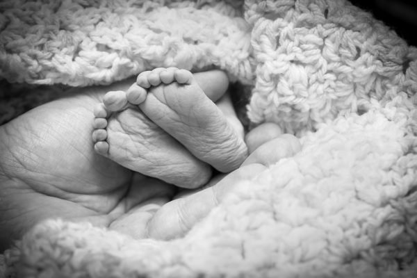 Abigail-Burgoyne.FL_.2-600x400.jpg