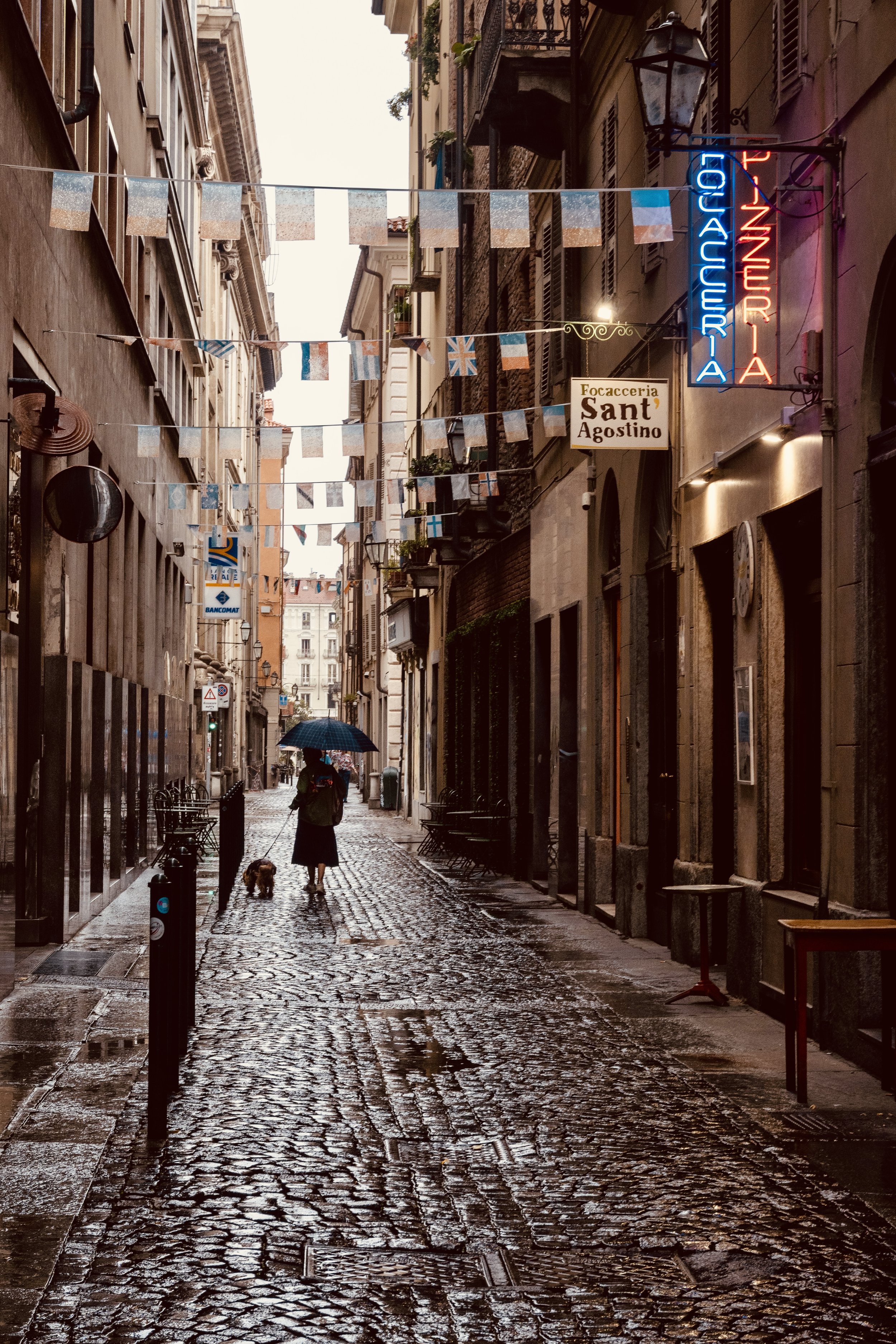 DSC_7019.jpeg