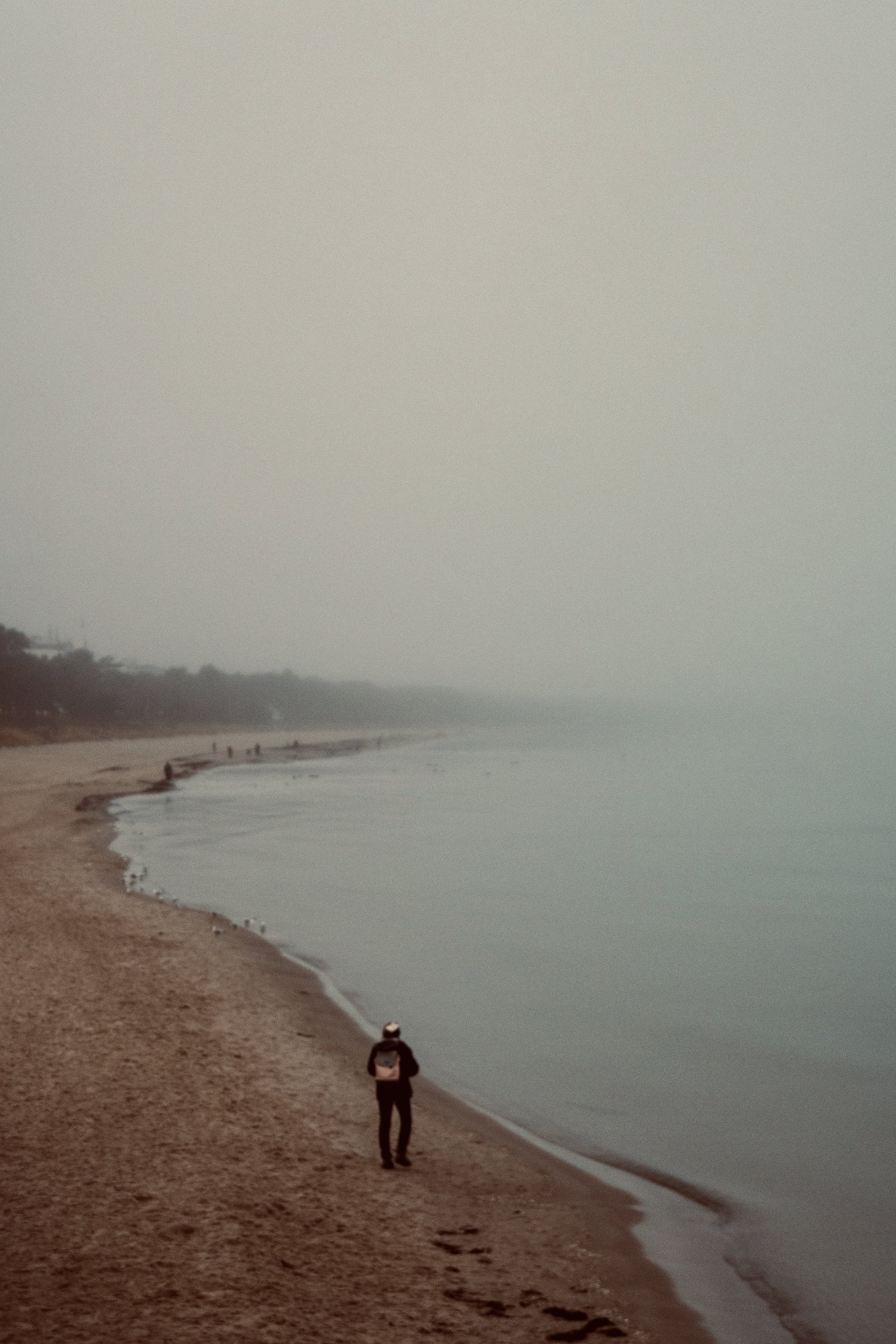 DSC_9731.jpeg