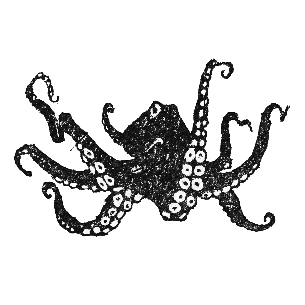 Black and white illustration of an octopus with curled tentacles on a black background.