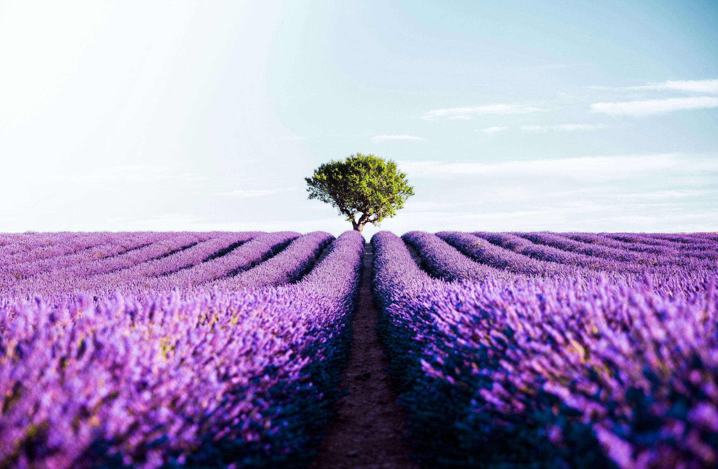unsplash-image-LPND76rb2gU.jpg