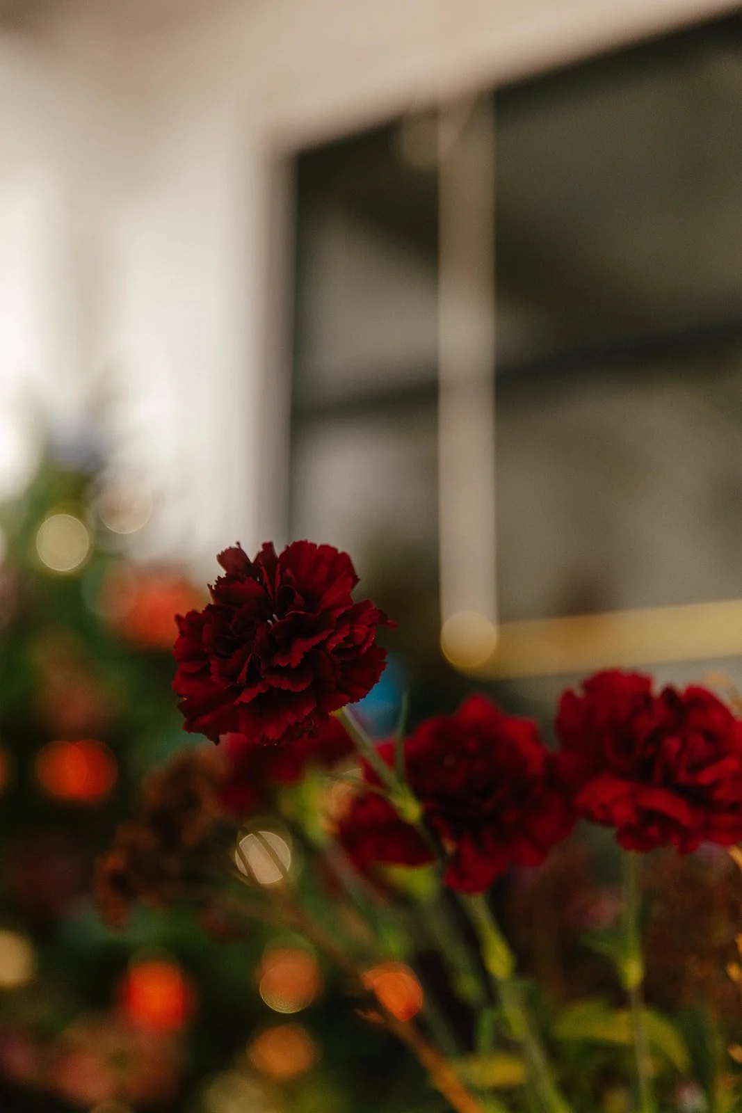 Powher_111225-56.jpg