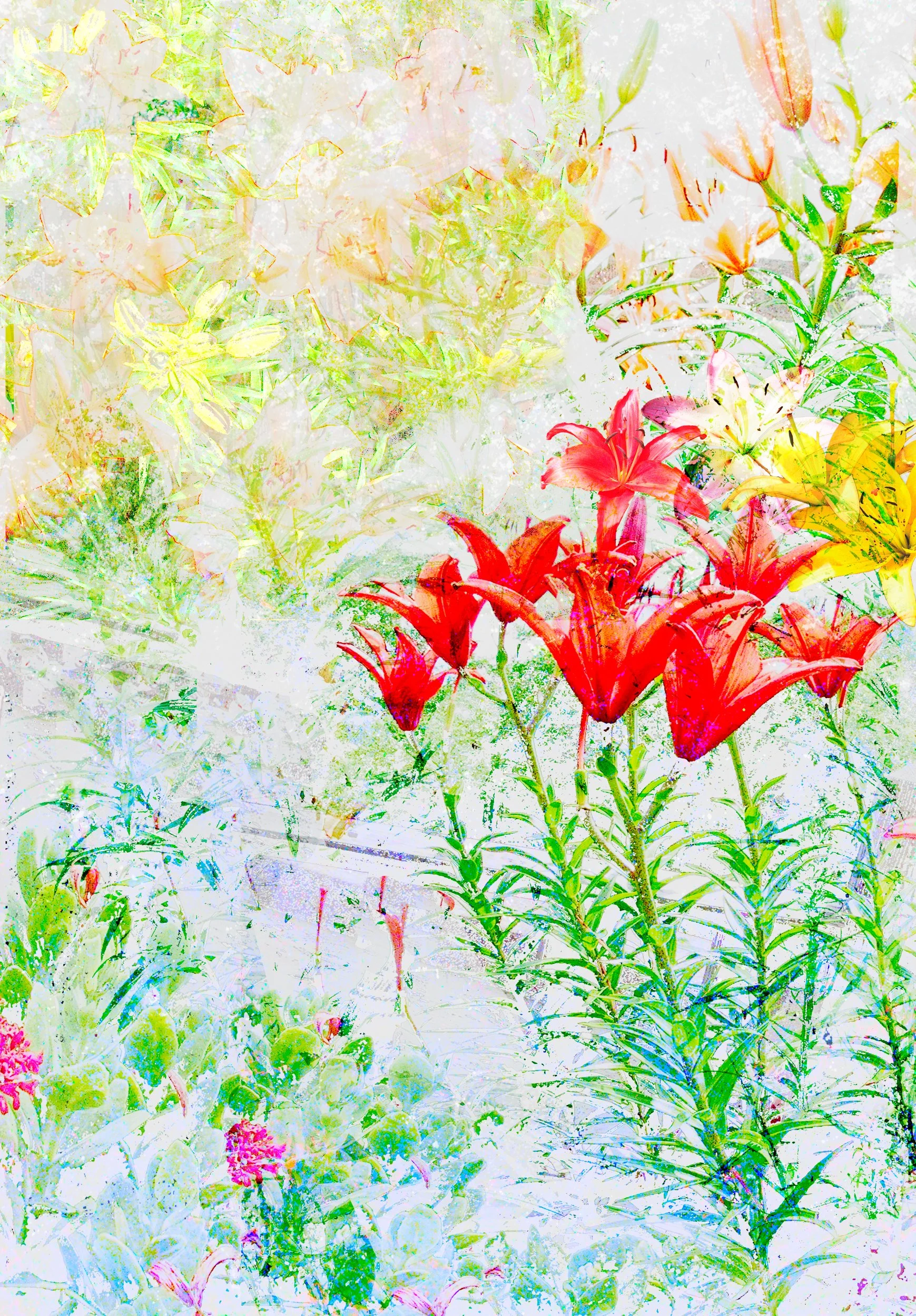 Untitled-1 (1).jpeg